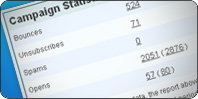 campaign-statistics.jpg
