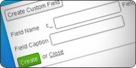 custom-field.jpg